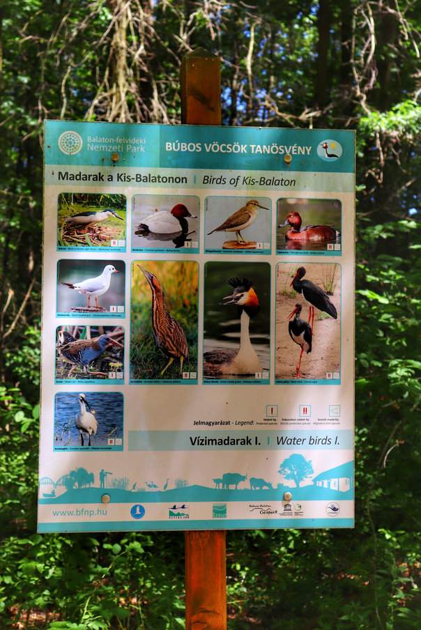 Tablica ścieżki przyrodniczej - ptactwo Kis-Balaton - Wyspa Kányavári