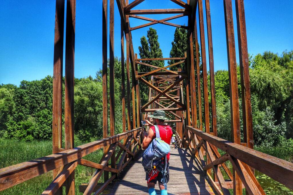 Turysta na wyjątkowym, drewnianym moście prowadzącym na Wyspę Kányavári - Mały Balaton (Kis-Balaton)
