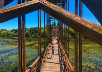 Mały Balaton (Kis-Balaton) Węgry, wyspa Kányavári