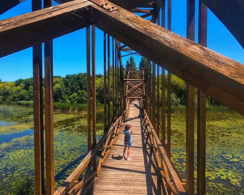 Mały Balaton (Kis-Balaton) Węgry, wyspa Kányavári