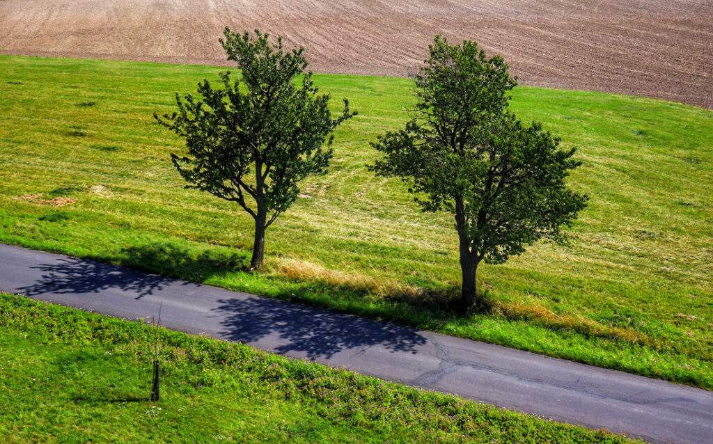 Widok na drogę, pola, drzewa przy drodze z wieży widokowej Pohoř - Olšová - Odry