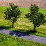 Widok na drogę, pola, drzewa przy drodze z wieży widokowej Pohoř - Olšová - Odry