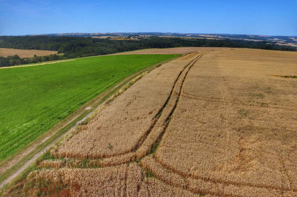 Widok na pola i okolicę z wieży widokowej Pohoř - Olšová w Czechach