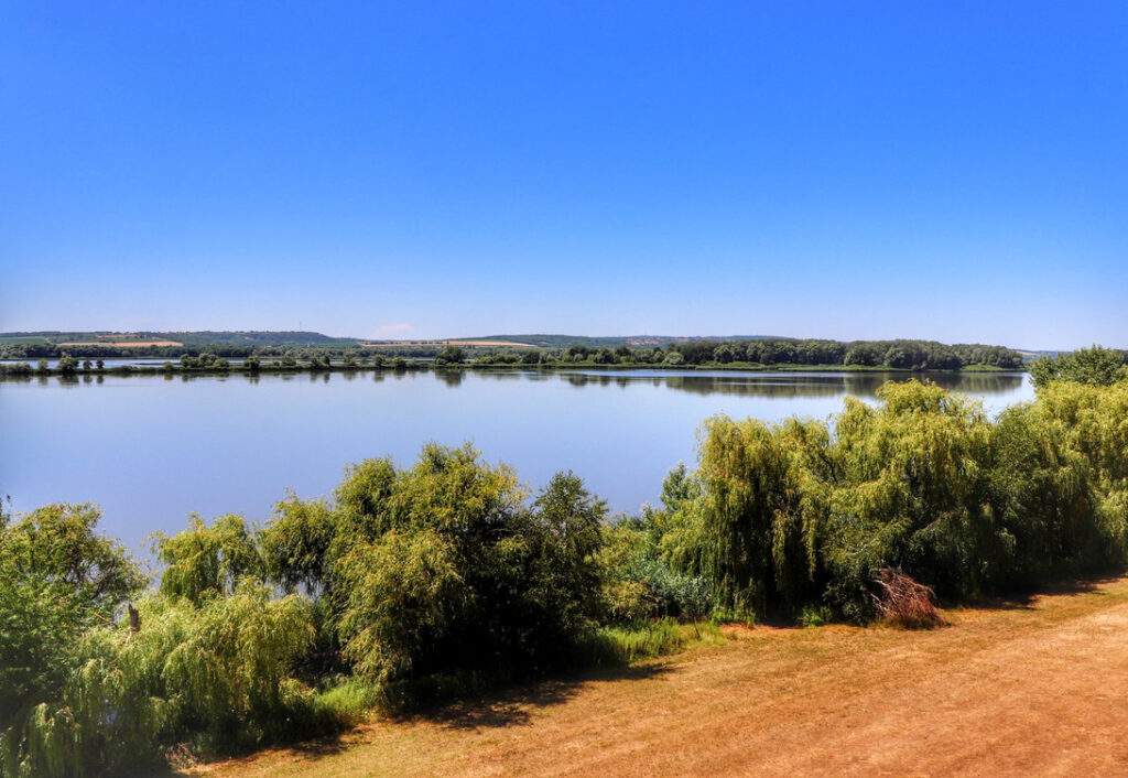 Widok z wieży widokowej Nagy - Kis-Balaton