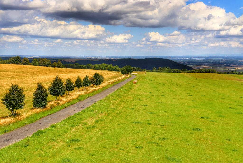 Odry (Czechy) - widok z wieży widokowej Veselská: droga, polana, w oddali górski krajobraz, letnie popołudnie