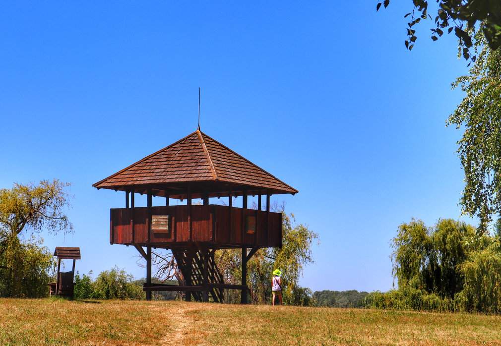 Wyspa Kányavári wieża widokowa - Kis kilátó, dziecko, niebieskie niebo