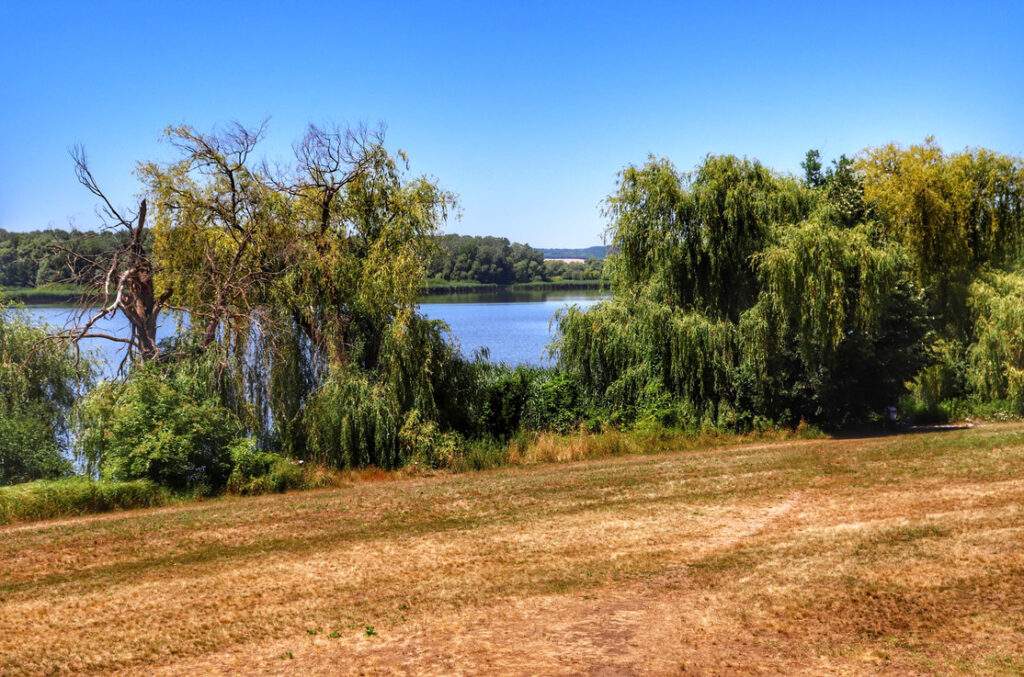 Wyspa Kányavári wieża widokowa - Kis, widok z wieży na jezioro