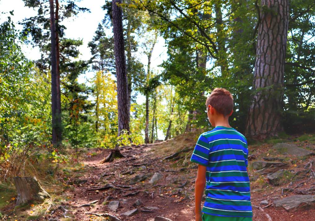 Dziecko na leśnej drodze pełnej korzeni i kamieni - Oheb, Góry Żelazne w Czechach