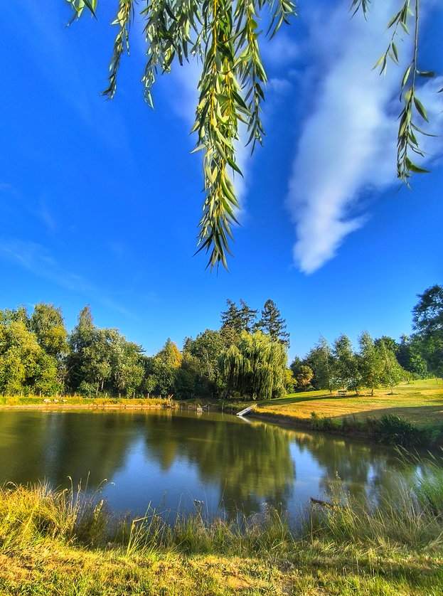 Błękitne niebo rozciągało się nad stawem Hetlik w Skuteč, odbijając się w tafli wody i podkreślając spokojny, sielankowy charakter tego miejsca