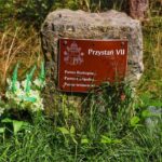 Przystań VII na Szlaku Papiesko-Loretańskim, Sól - Beskid Żywiecki