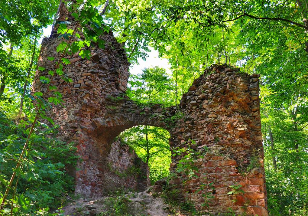 Las, ruiny zamku Oheb w Górach Żelaznych - Czechy