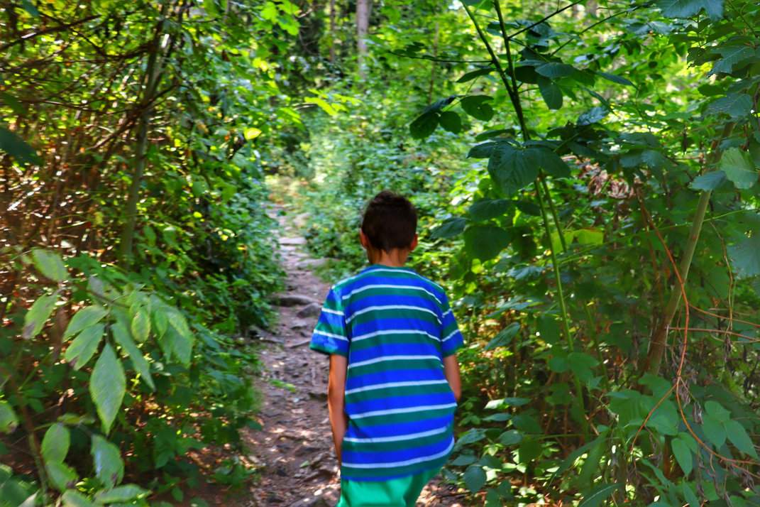 Dziecko na wąskiej leśnej ścieżce zielonego szlaku prowadzącego do ruin zamku Oheb w Górach Żelaznych w Czechach