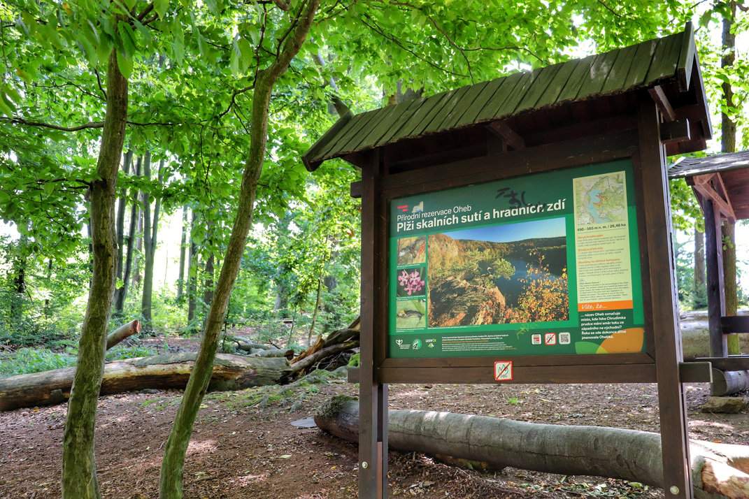 Las i tablica na zielonym szlaku prowadzącym do ruin zamku Oheb w Górach Żelaznych