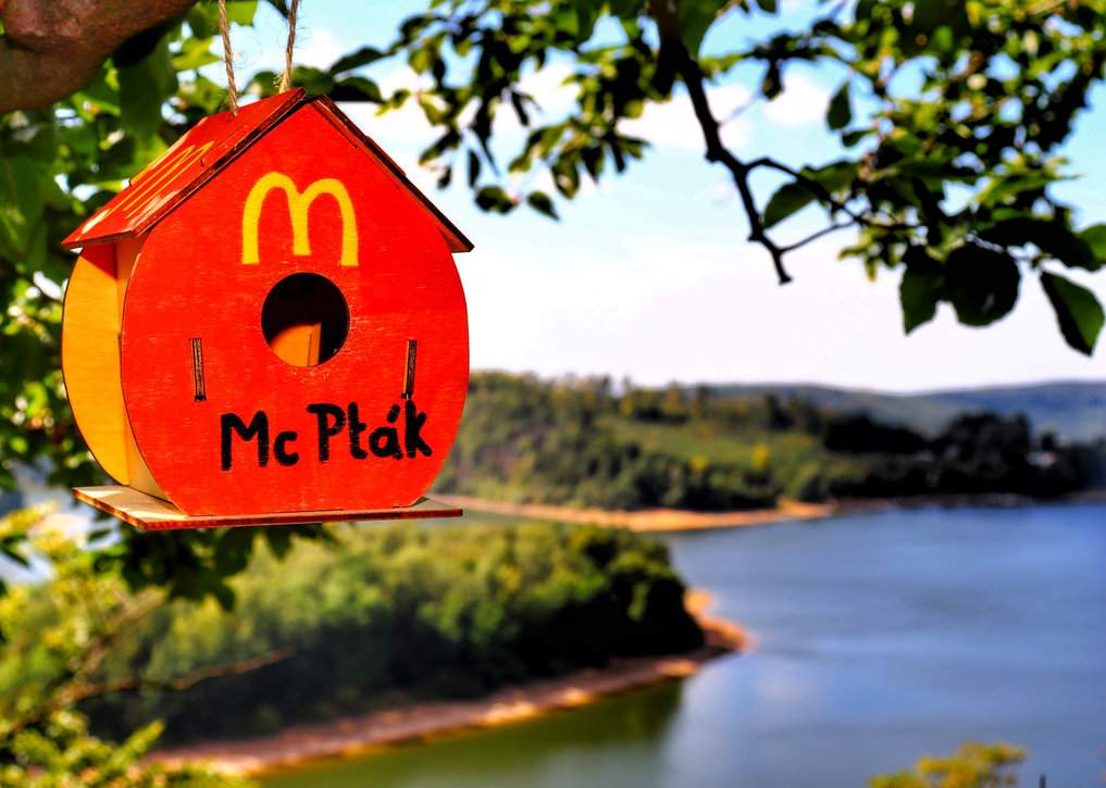 Czerwony karmnik dla ptaków z żółtą literą M - MC Pták, w tle widok na zbiornik Seč i ruiny zamku Oheb