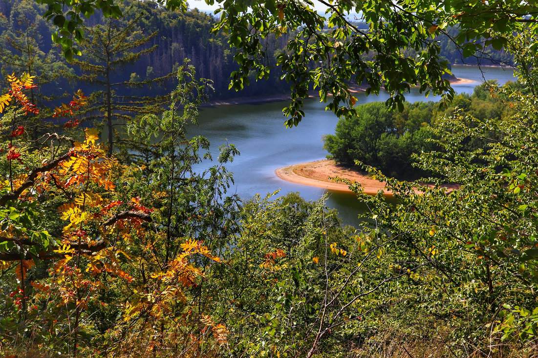 Drzewa z kolorowymi liśćmi i widok na zbiornik Seč w Górach Żelaznych