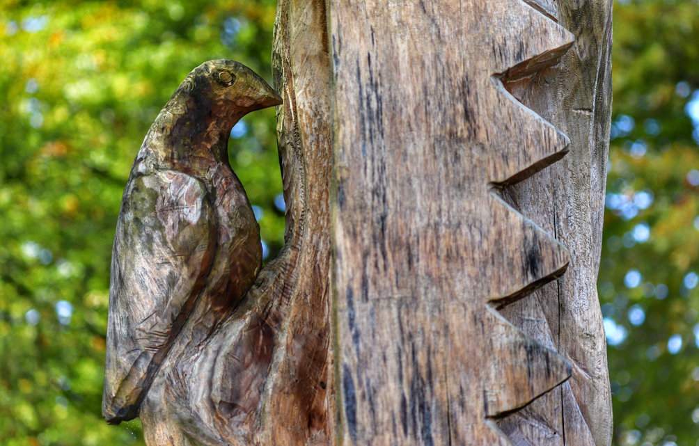 Beskidzka ławeczka - szczyt Cieślar w Beskidzie Śląskim 