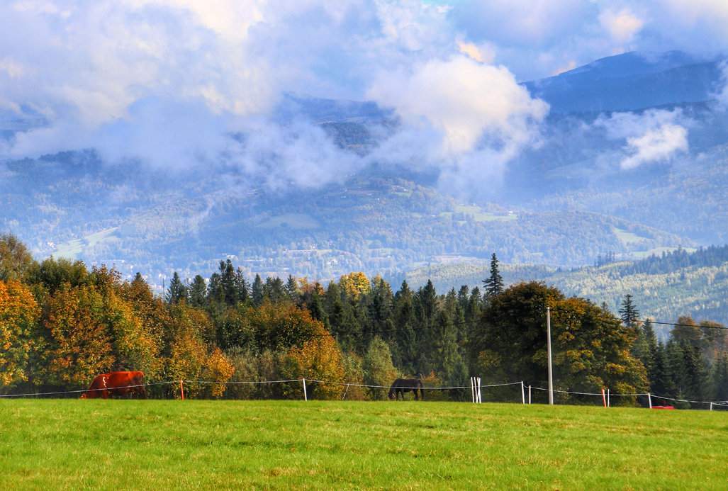 Jesienny widok ze szczytu Cieślar w Beskidzie Śląskim, łąka, góry