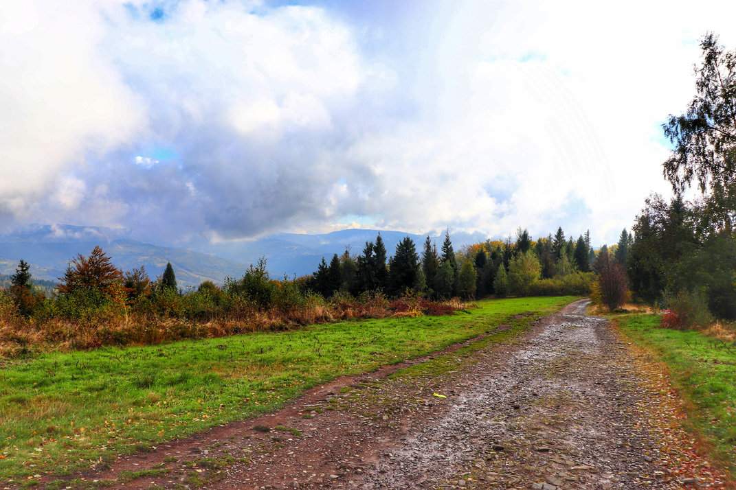 Jesienny poranek na czerwonym szlaku w okolicach Soszowa Wielkiego - szeroka droga, poranne mgły