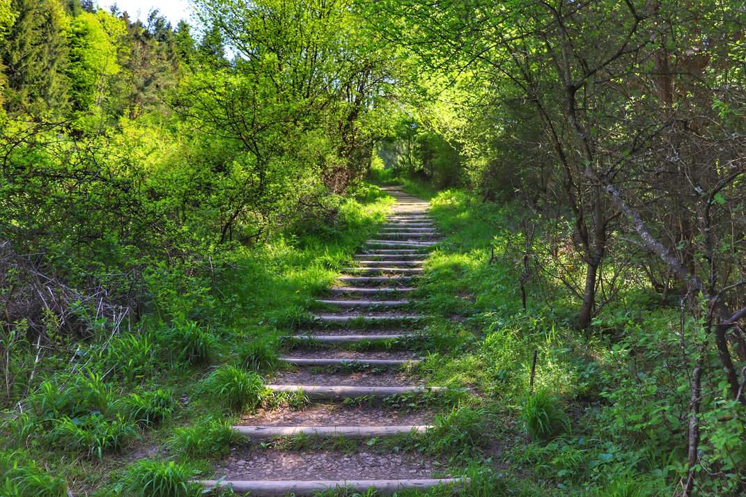 Zielony szlak na Trzy Korony w Pieninach - leśna ścieżka z drewnianymi stopniami i wzmocnieniami