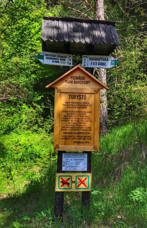 Drogowskaz turystyczny, zielony szlak na Trzy Korony w Pieniach, las