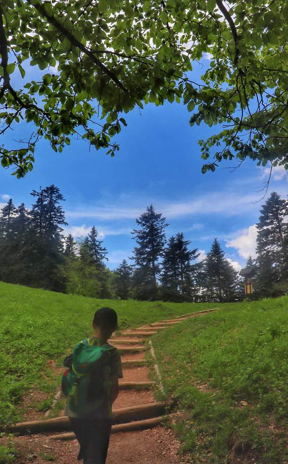 Dziecko pokonujące ostatnie podejście na Polanę Kosarzyską w Pieninach