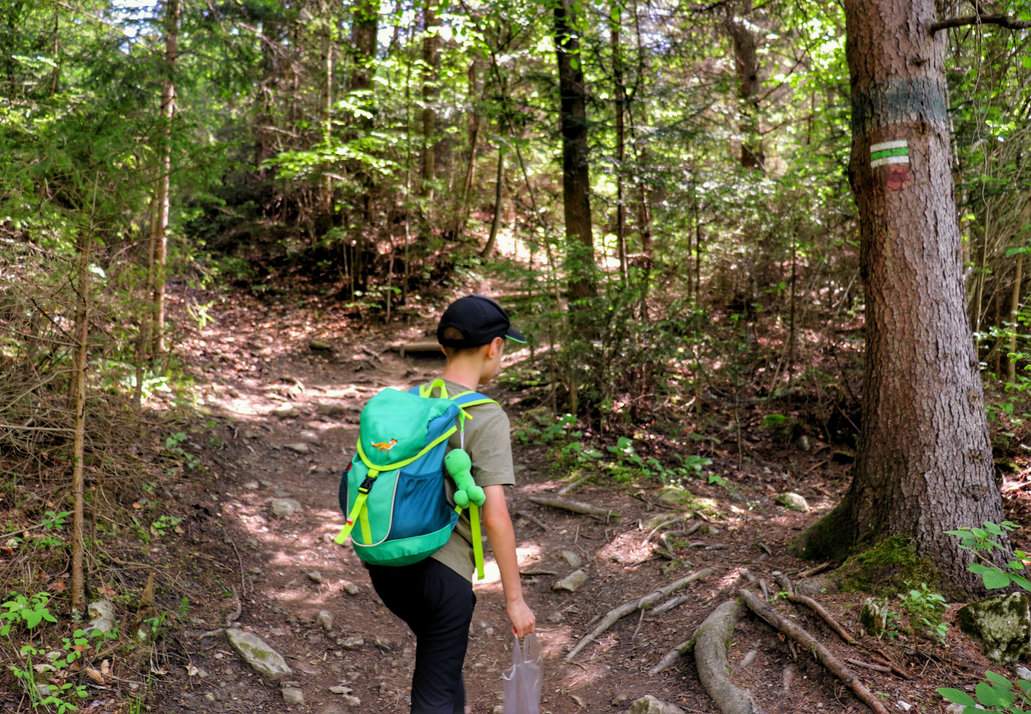Dziecko na zielonym szlaku na Trzy Korony w Pieninach, podejście przez las