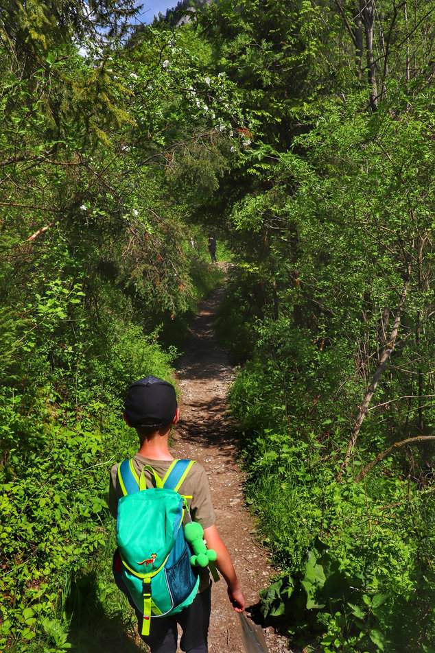 Dziecko na wąskiej leśnej ścieżce zielonego szlaku na Trzy Korony w Pieninach