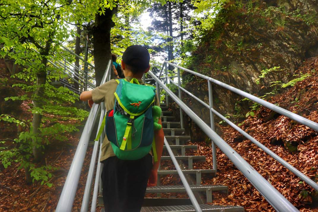 Dziecko wspinające się po metalowych schodach na platformę widokową na szczycie Trzech Koron, Pieniny, otoczenie leśne