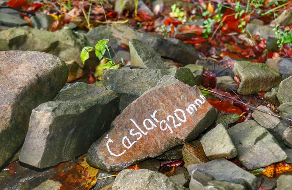 Kamień z napisem "Cieślar 920 m n.p.m."