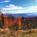 Leskowiec szlak z Rzyk – Schronisko na Leskowcu w Beskidzie Małym