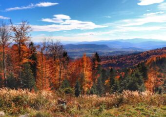 Leskowiec szlak z Rzyk – Schronisko na Leskowcu w Beskidzie Małym