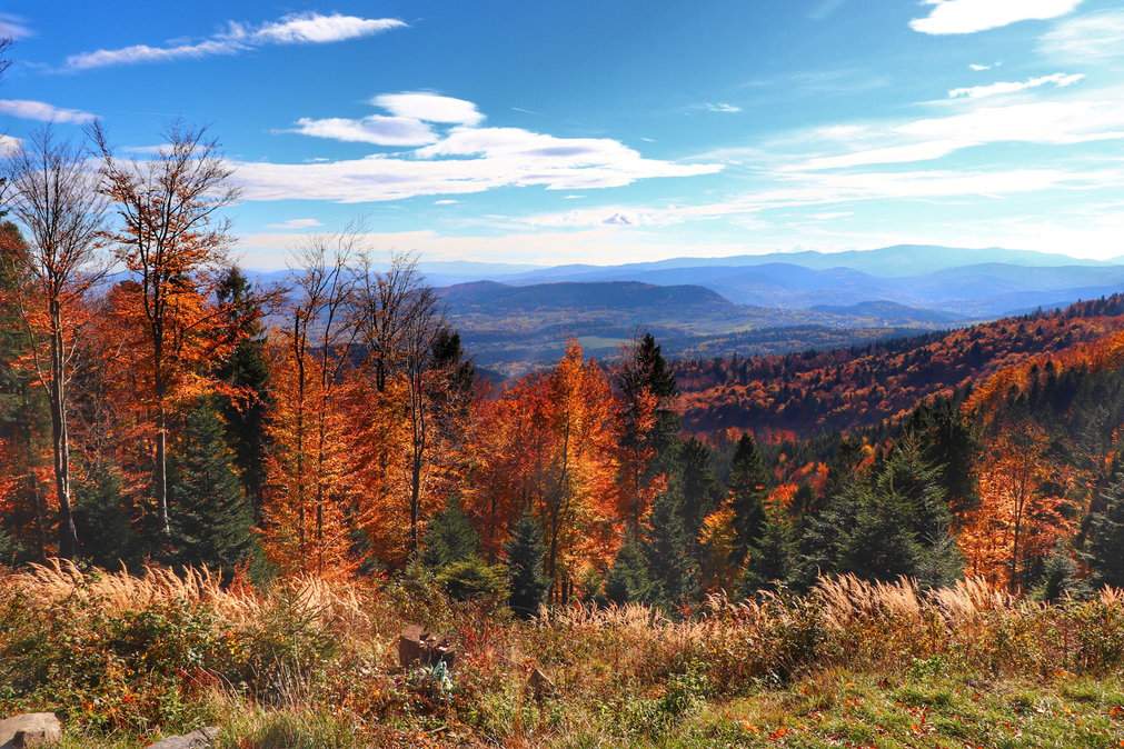 Cudowny, jesienny widok z okolic schroniska na Leskowcu w Beskidzie Małym, podczas słonecznego, jesiennego dnia