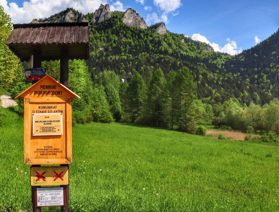 Drewniana tablica Pienińskiego Parku Narodowego z informacją o stanie szlaków, w tle Trzy Korony
