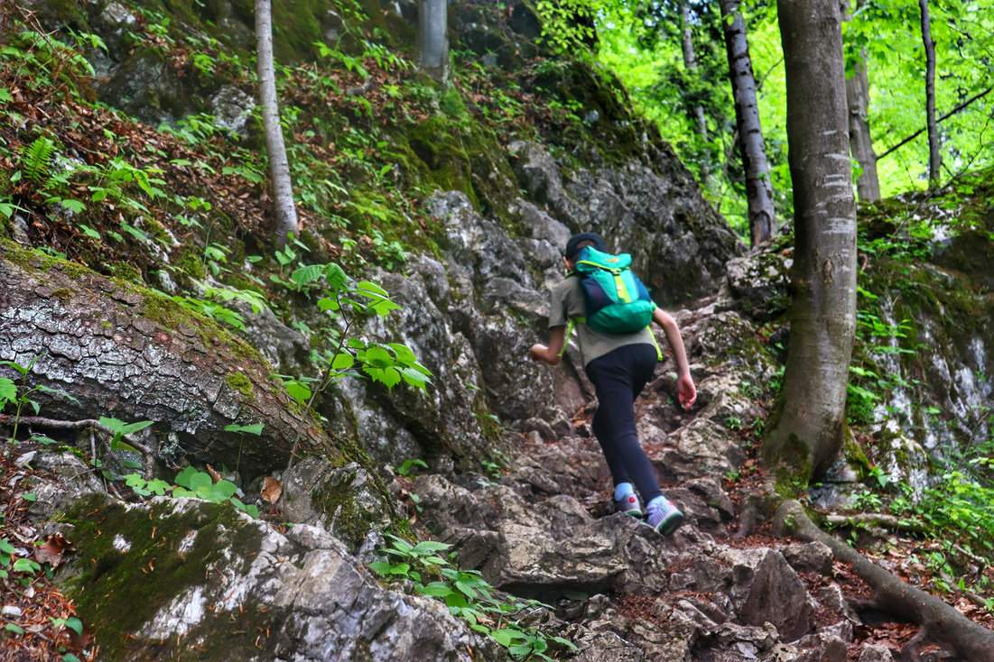Dziecko pokonujące skalne podejście przez las na zielonym szlaku prowadzącym na szczyt Trzy Korony