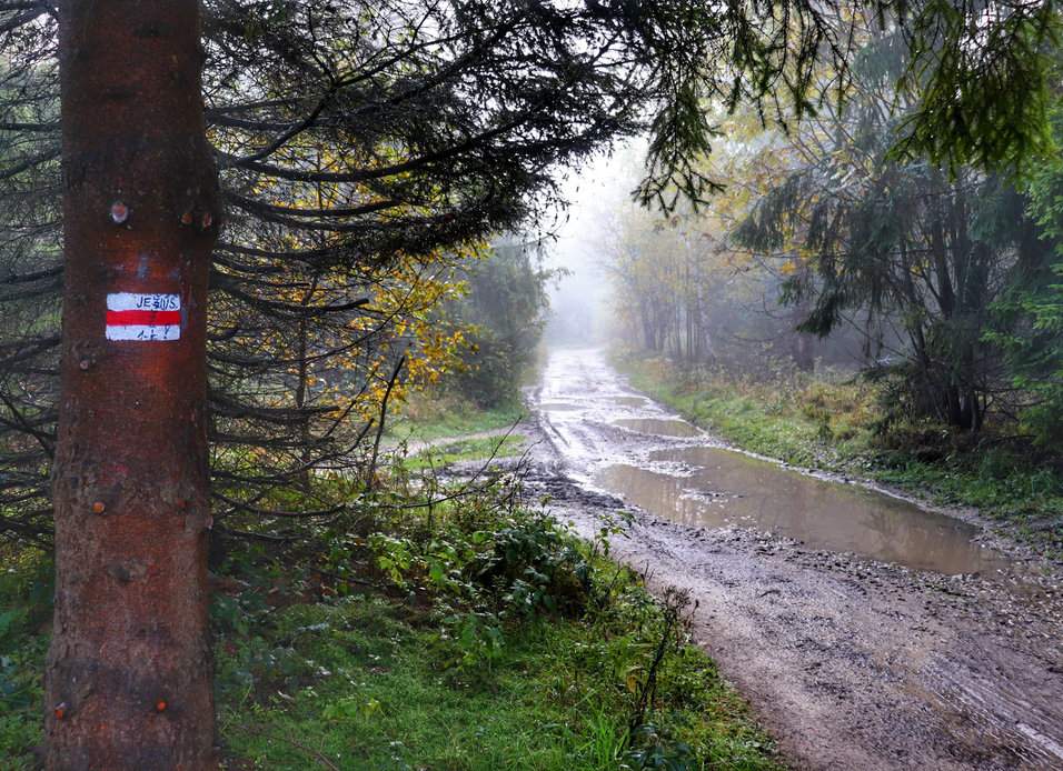 Szeroka droga leśna na czerwonym szlaku z Soszowa Wielkiego na Cieślar - kałuże, błoto i poranna mgła tworzyły typowy, jesienny klimat Beskidów