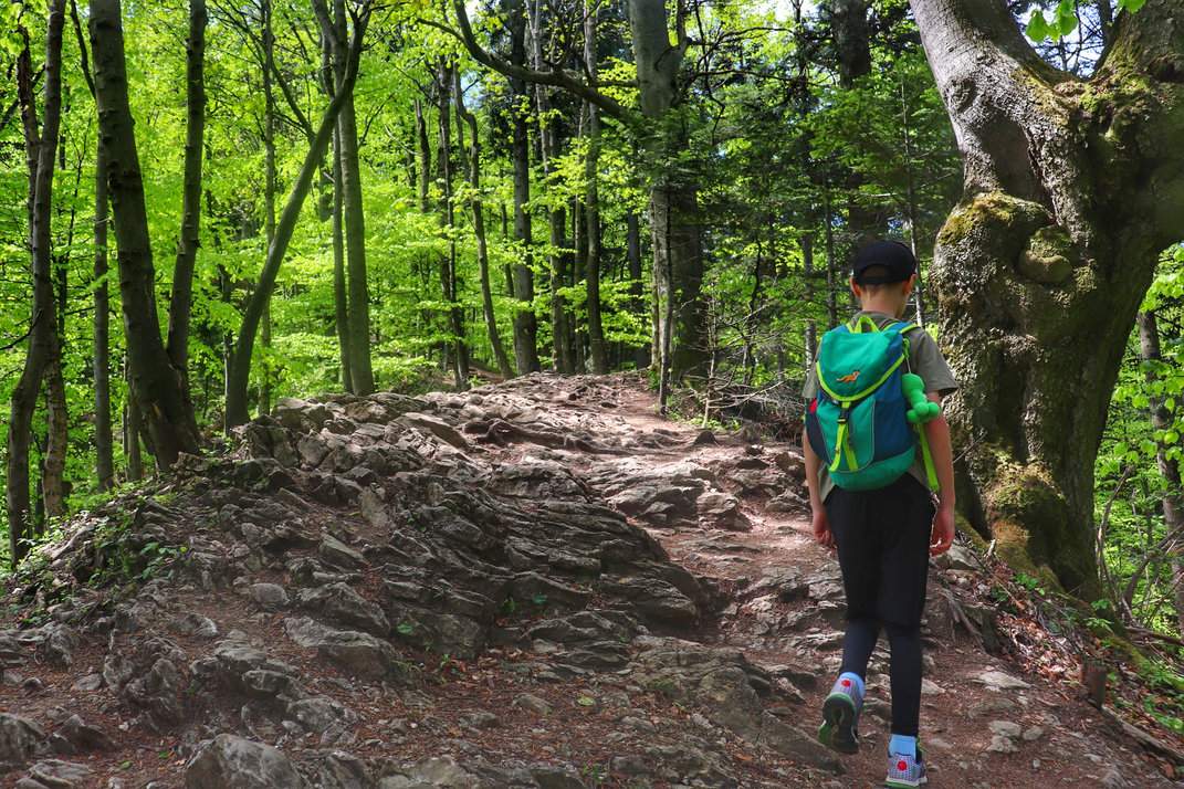 Dziecko na kamienistej, leśnej ścieżce na niebieskim szlaku prowadzącym na Trzy Korony