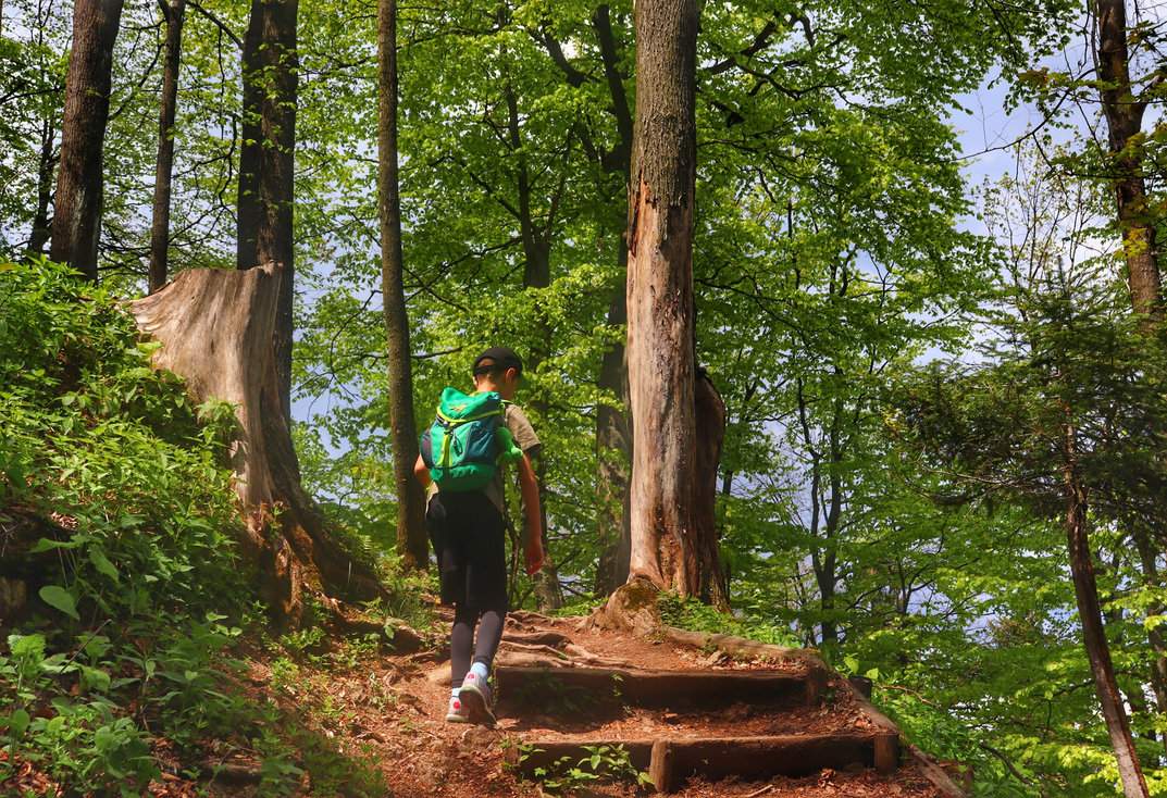 Dziecko na leśnej ścieżce z drewnianymi wzmocnieniami, na niebieskim szlaku prowadzącym na Trzy Korony w Pieninach