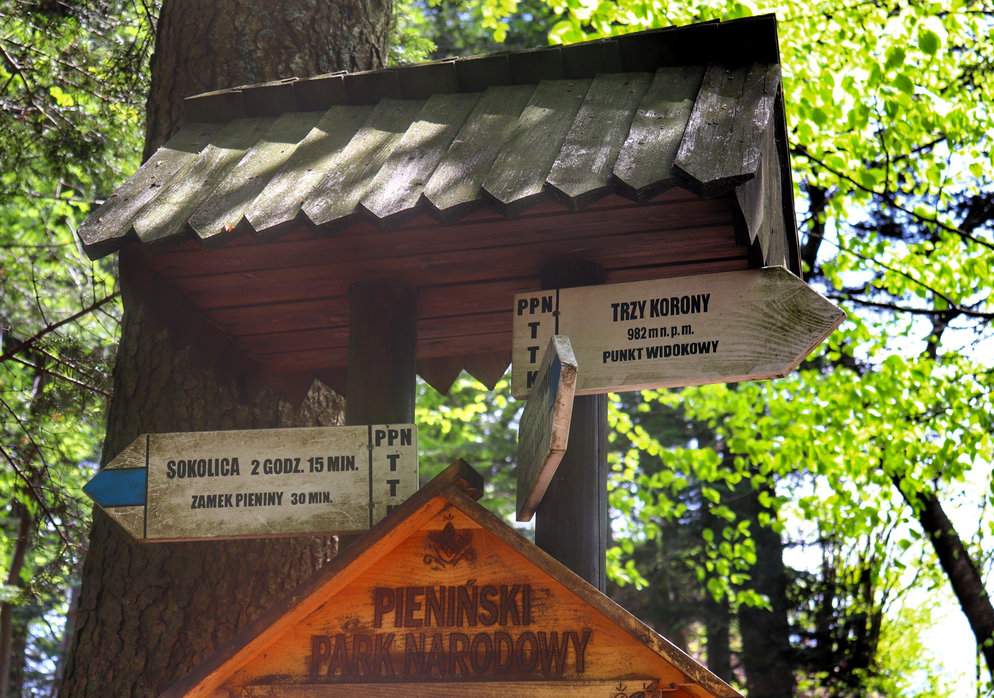 Szczyt Trzy Korony, drogowskaz wskazujący kierunek do punktu widokowego, opis szlaku niebieskiego