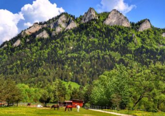 Trzy Korony szlak ze Sromowiec Niżnych