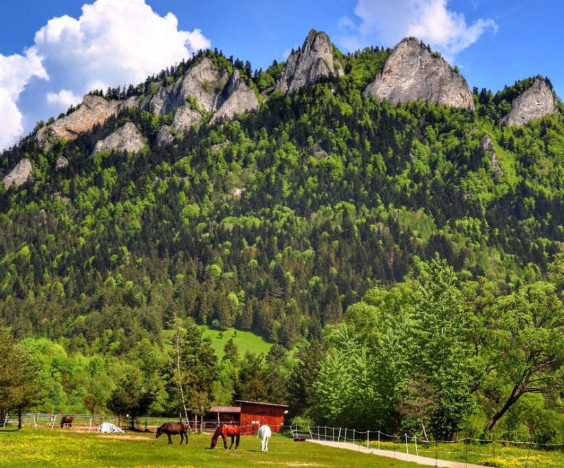 Trzy Korony szlak ze Sromowiec Niżnych