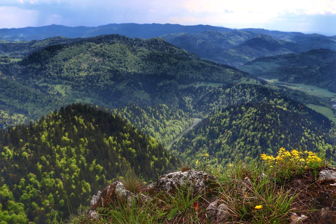Trzy Korony - panorama Pienin z górami, letnia zieleń, zachmurzone niebo
