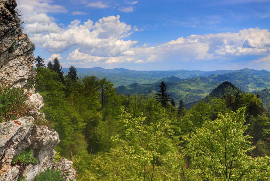 Widok rozciągający się ze szczytu Trzy Korony w Pieninach - górski krajobraz i malownicze skały