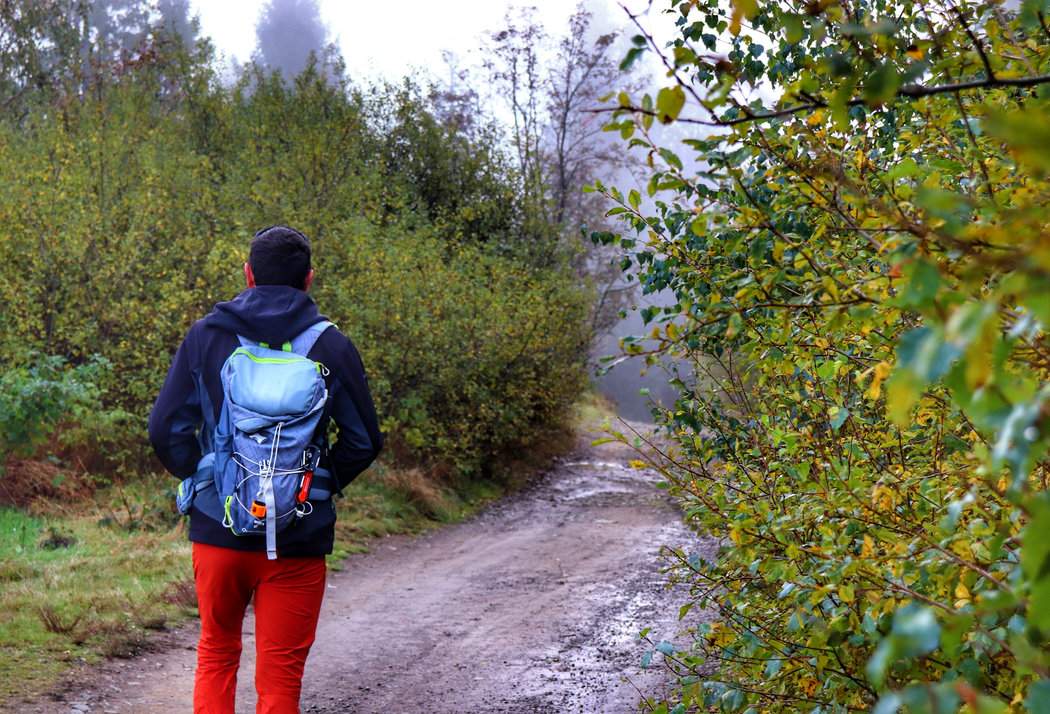 Jesienny poranek na czerwonym szlaku w okolicach Soszowa Wielkiego - turysta na szerokiej leśnej drodze