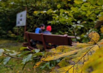 Lipowski Groń szlak z Ustronia