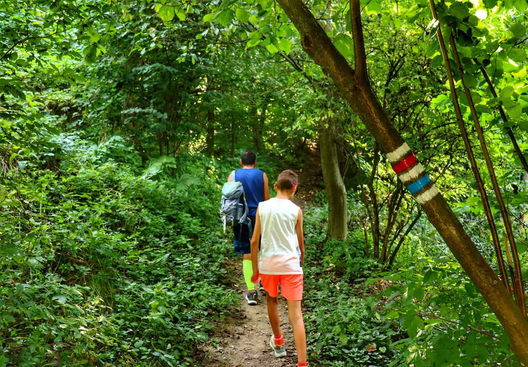 Turysta z dzieckiem na wąskiej leśnej ścieżce (szlak czerwony i niebieski) prowadzącej do zamku Brníčko w Czechach