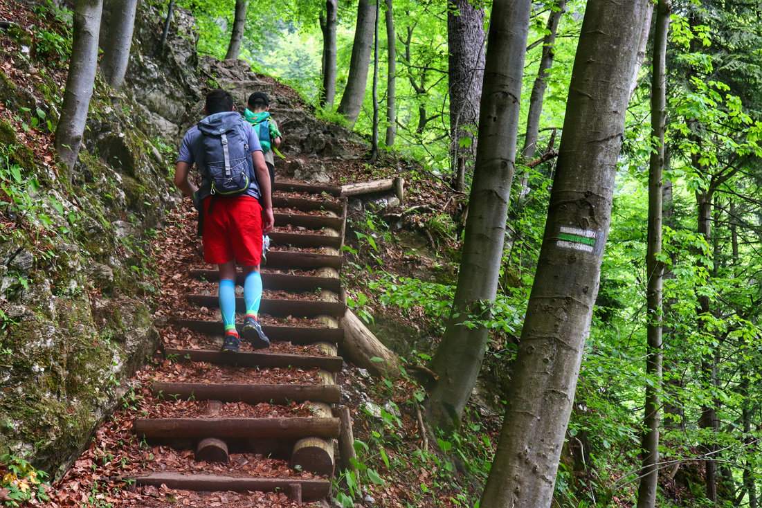 Turysta z dzieckiem, las, drewniane schody na zielonym szlaku prowadzącym na Trzy Korony w Pieninach