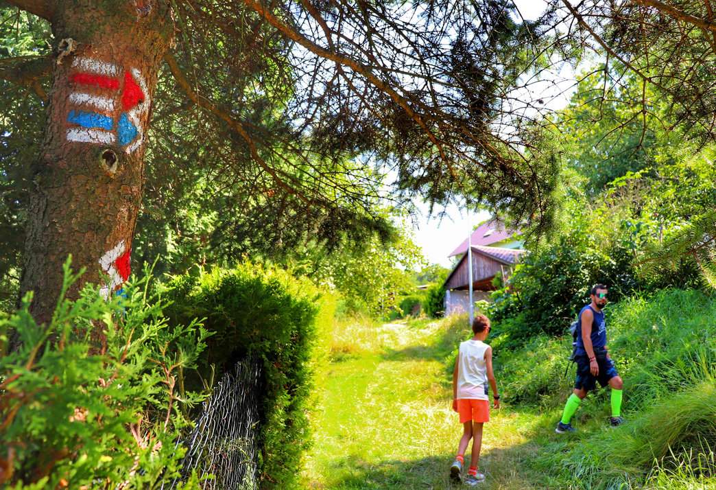 Turysta z dzieckiem skręcający w prawo na wąską ścieżkę, zgodnie z oznaczeniami na drzewie szlaku niebieskiego i czerwonego prowadzącego do ruin zamku Brníčko w Czechach