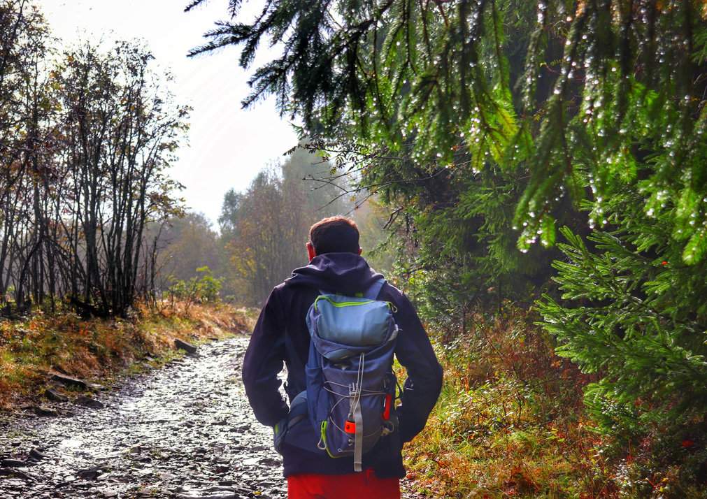 Turysta na czerwonym szlaku prowadzącym na szczyt Cieślar (Beskid Śląski), jesienny, mglisty poranek