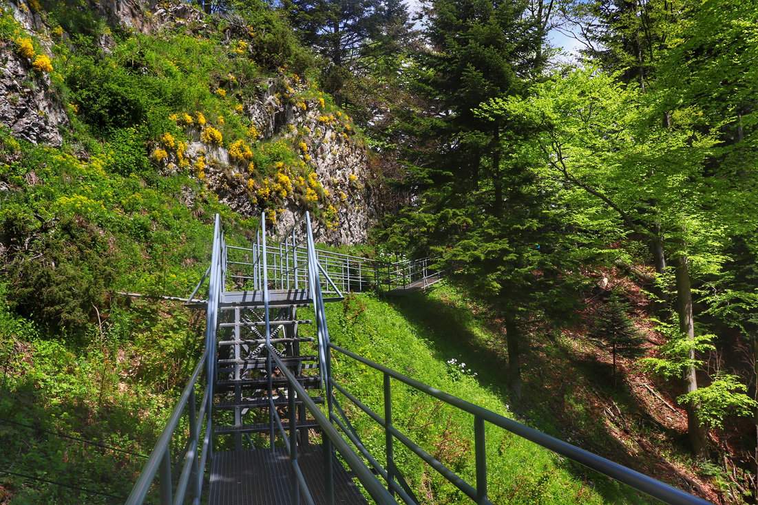 Metalowe schodki na platformie prowadzącej na Trzy Korony, skały porośnięte żółtą roślinnością - Smagliczka skalna