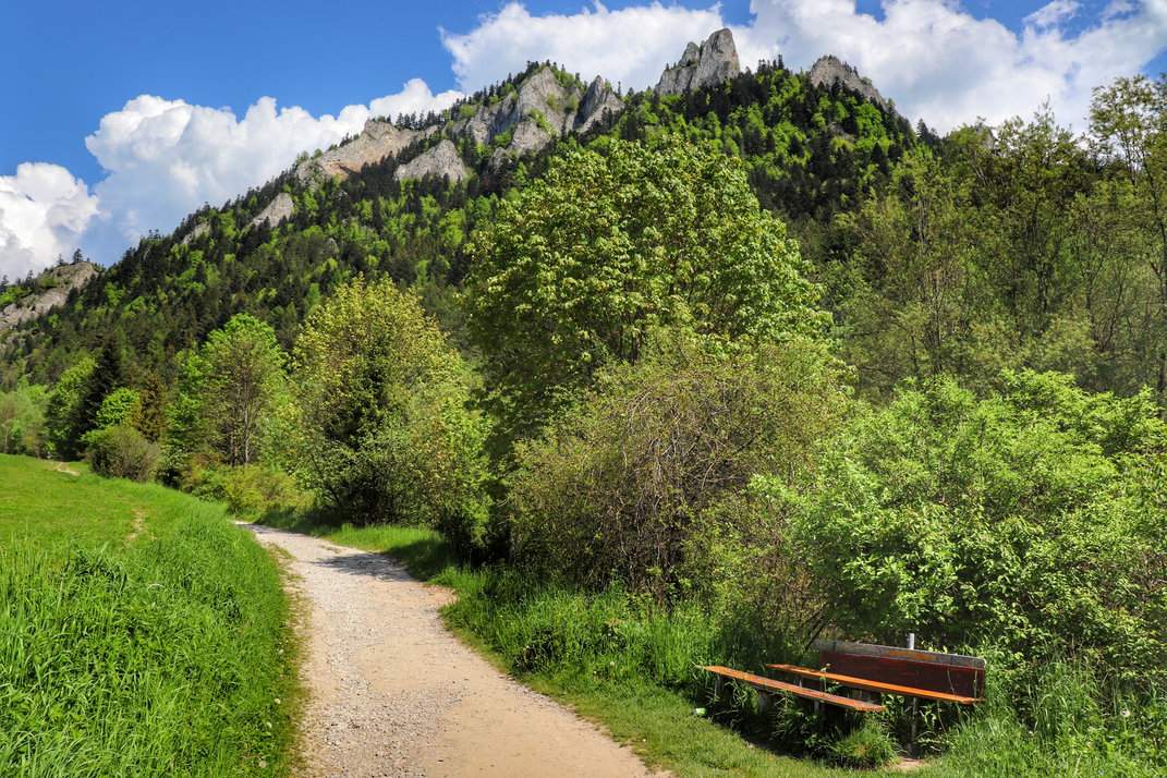 Sromowce Niżne - widok na Trzy Korony ze szlaku żółtego, utwardzona droga